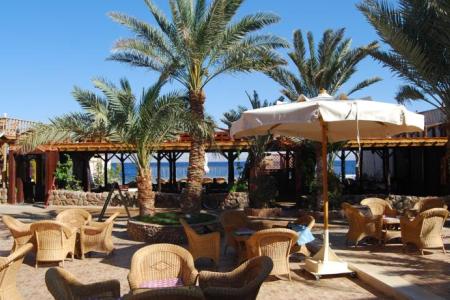 Отель Acacia Dahab Hotel в Дахаб - Египет