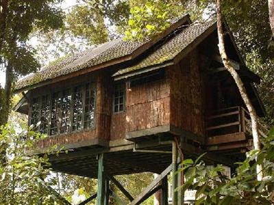 Отель Permai Rainforest Resort в о. Борнео - Малайзия