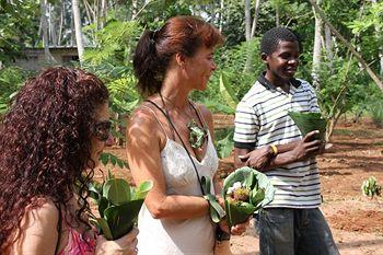 Отель Kena Beach Hotel в Матемве - Танзания