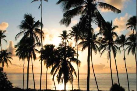 Отель Bellevue Zanzibar в Бвейуу - Танзания