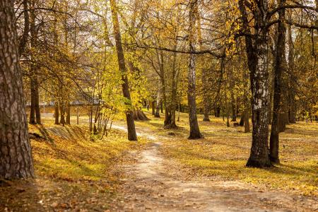 Отель SPA Санаторий Солотча в Рязань - Россия