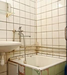 Березовый гай