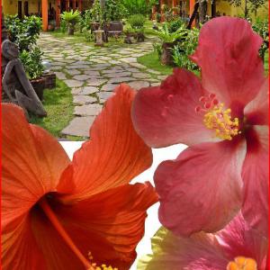 отель Hibiscus Garden Inn