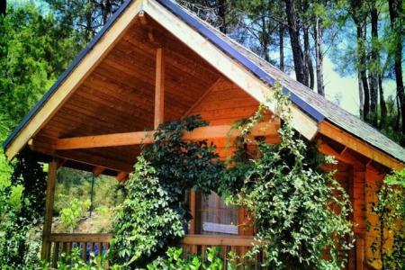 Отель Olympos Village в Кемер - Турция