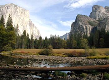 Best Western Executive Inn & Suites