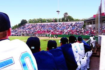 Best Western Cascadia Inn