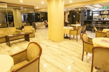 Отель Hotel Buyuk Sahinler в Лалели - Турция