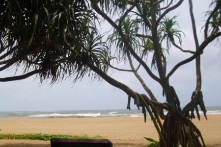 Отель Aida Ayurveda & Spa Resort Induruwa в Индурува - Шри-Ланка