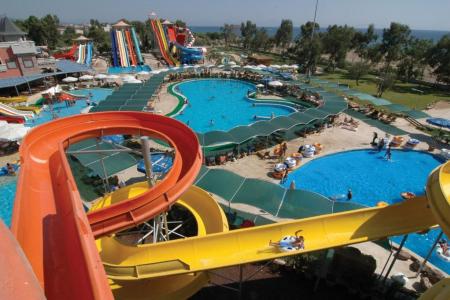 Cactus Paradise Club