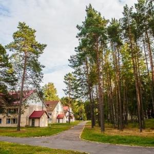 отель Оздоровительный комплекс Чайка