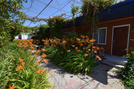 Дельфин база отдыха (Пересыпь)