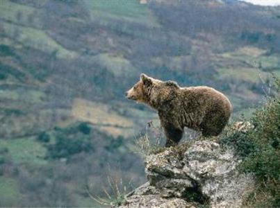 Arcea Los Lagos Nature