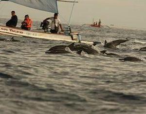 отель Sunari Beach Resort