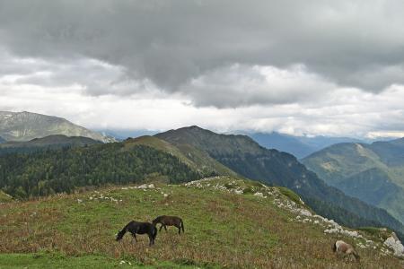 Экскурсионная программа Абхазия