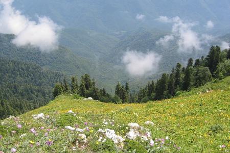 Экскурсионная программа Абхазия