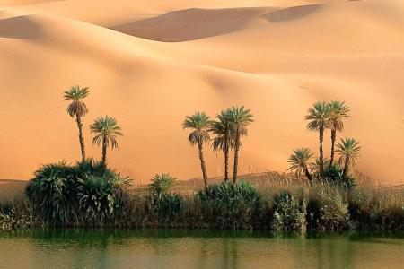 Экскурсионная программа Тунис