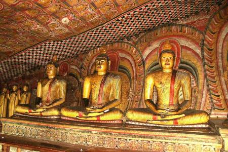 Экскурсионная программа Шри-Ланка