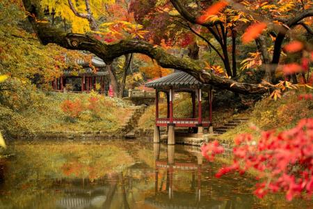 Отель Экскурсионная программа Южная Корея в Экскурсионная программа Южная Корея - Южная Корея