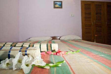 Отель Nifa в Морджим - Индия