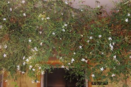 Отель Metin Hotel в Дальян - Турция