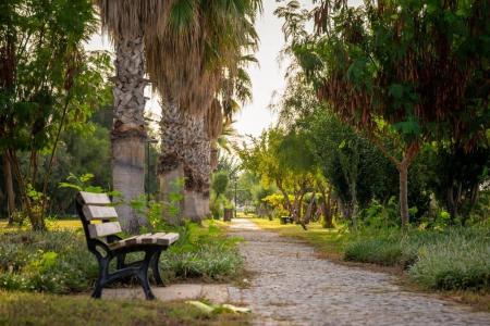 Отель Commodore Elite Suites & Spa в Эвренсеки - Турция