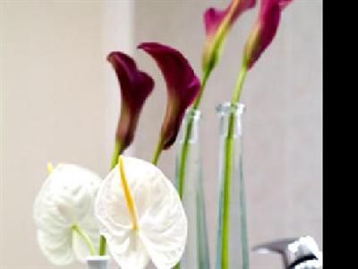 Marriott Riviera La Porte de Monaco