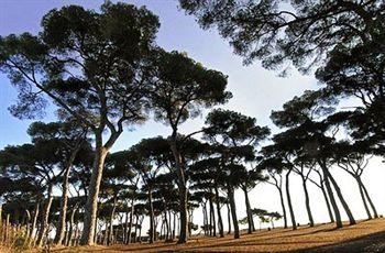 Отель Pinewood Hotel Rome в Рим - Италия