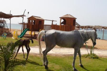 Sayadeen Village Red Sea Riviera