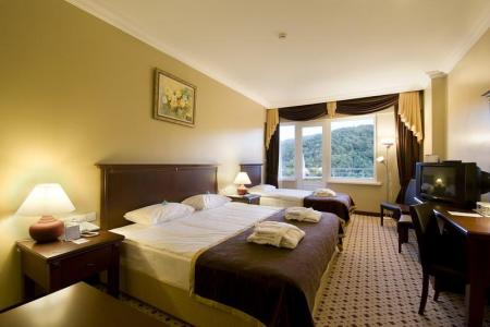 Отель Thermalium Wellness Park Hotel & SPA (Asr-I Ala Yalova Thermal) в Ялова - Турция