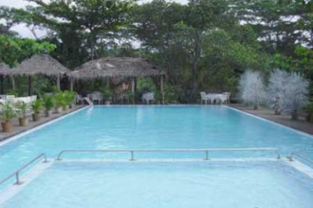 Отель Tree Of Life в Канди - Шри-Ланка