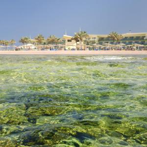 отель Barcelo Tiran Sharm
