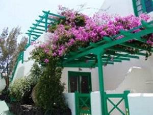 Apartamentos Celeste