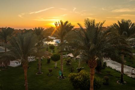 Отель Caribbean World Resorts Soma Bay в Сома Бей - Египет