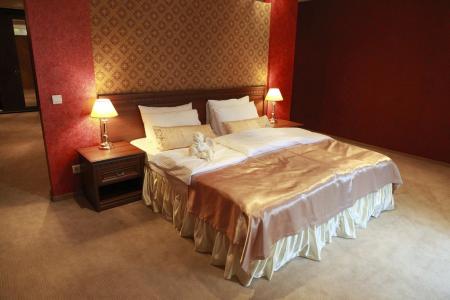 Отель Золотой Дельфин в Адлер - Россия