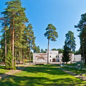 отель Сосновый бор