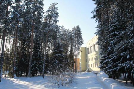 Сосновый бор 