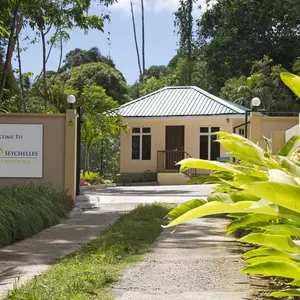 отель The Palm Seychelles