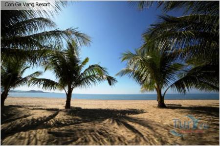 Отель Con Ga Vang Resort в Ниньтхуан - Вьетнам