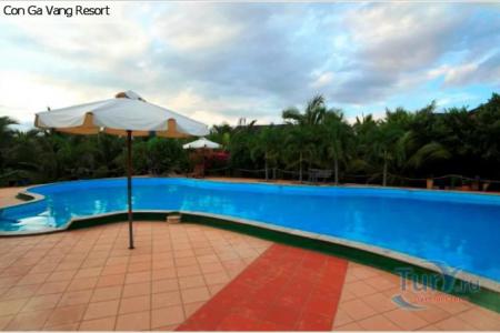 Отель Con Ga Vang Resort в Ниньтхуан - Вьетнам