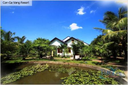 Отель Con Ga Vang Resort в Ниньтхуан - Вьетнам