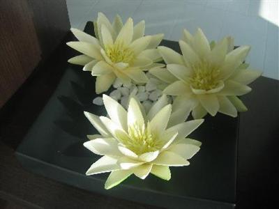 Mercure Bergamo Aeroporto