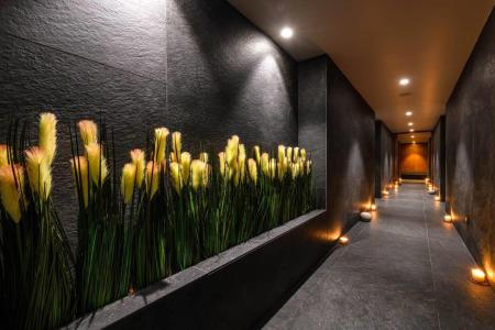 Отель Ajax в Лимассол - Кипр