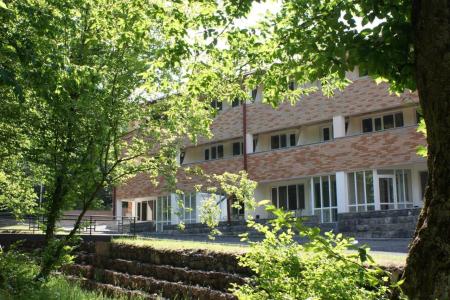 Отель Tsaghkahovit в Цахкадзор - Армения