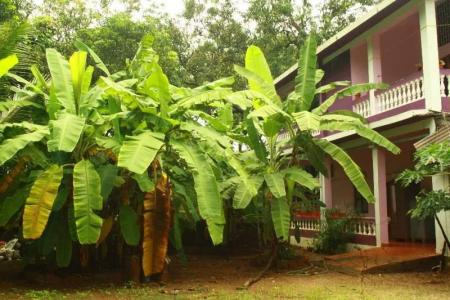 Отель Orchid Beach House в Анджуна - Индия