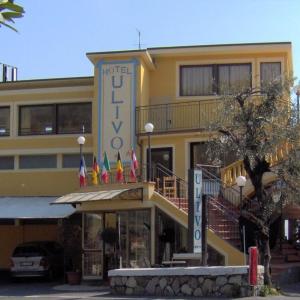 отель Hotel Ulivo