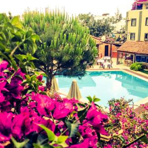 отель Moonshine Hotel & Suites