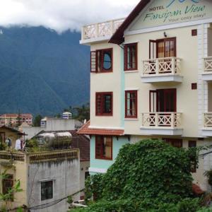 отель Fansipan View Hotel