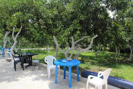 Отель Дивный сад в Новый Афон - Абхазия