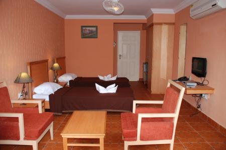 Отель Ginger Tree Boutique Resort в Анджуна - Индия