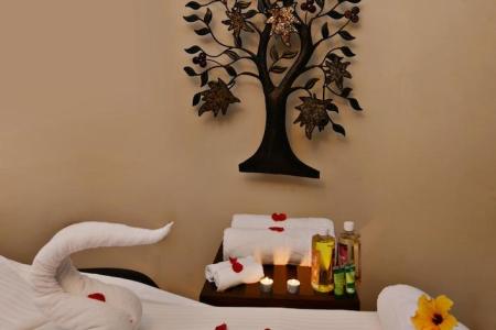 Отель La Sunila Suites в Бага - Индия